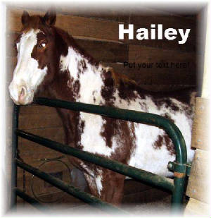 hailey.jpg