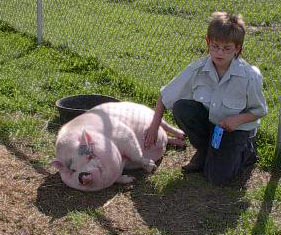 cody_n_hamlet92004.jpg