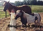 gingerngizzy.jpg