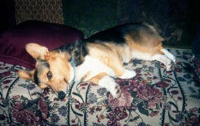 maggie.jpg