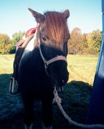 savali_at_trail_ride.jpg