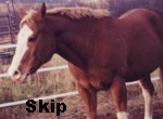 skip.jpg