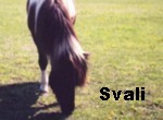 svali.jpg